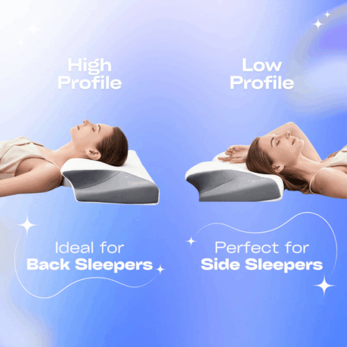 Pillow Haven (Official Retailer) 2025